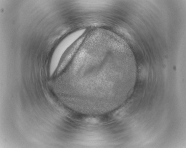 X0000088630358200706151923