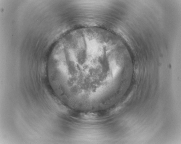 X0000088630359200706151923