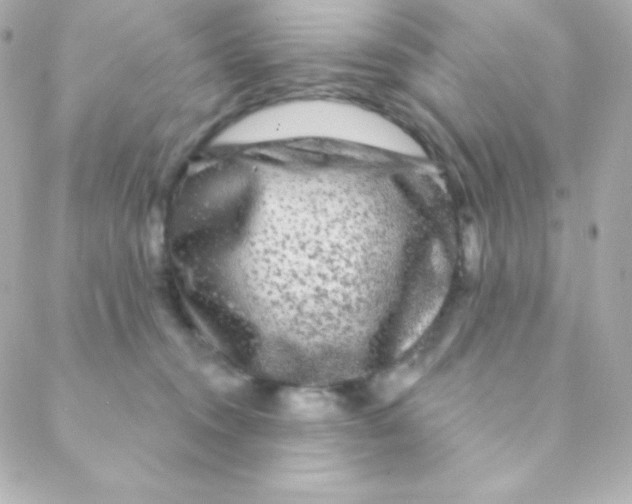 X0000088630372200706151923