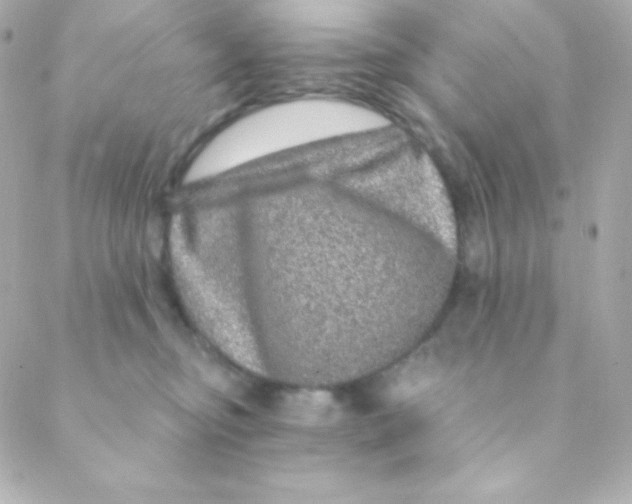 X0000088630374200706151923