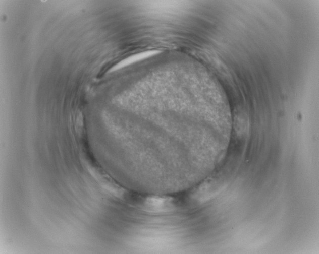 X0000088630375200706151923