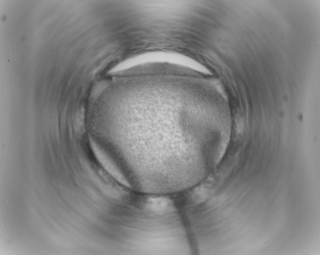 X0000088630376200706151923