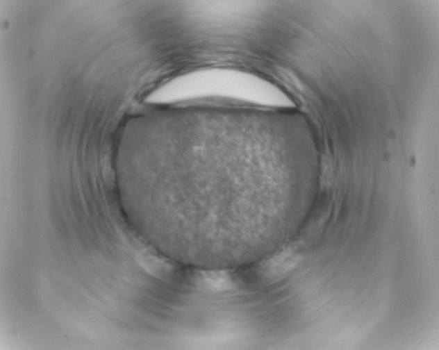 X0000088630377200706151923
