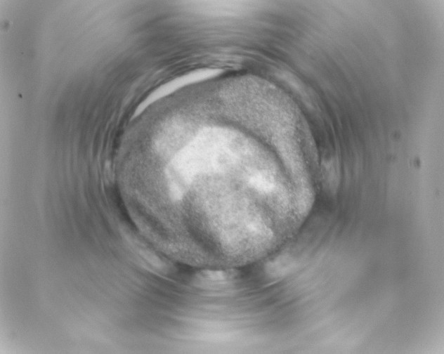 X0000088630381200706151923