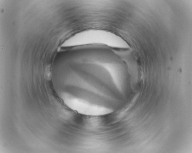 X0000088630383200706151923