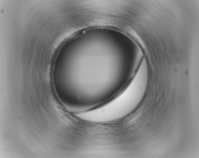 X0000088630387200706151922