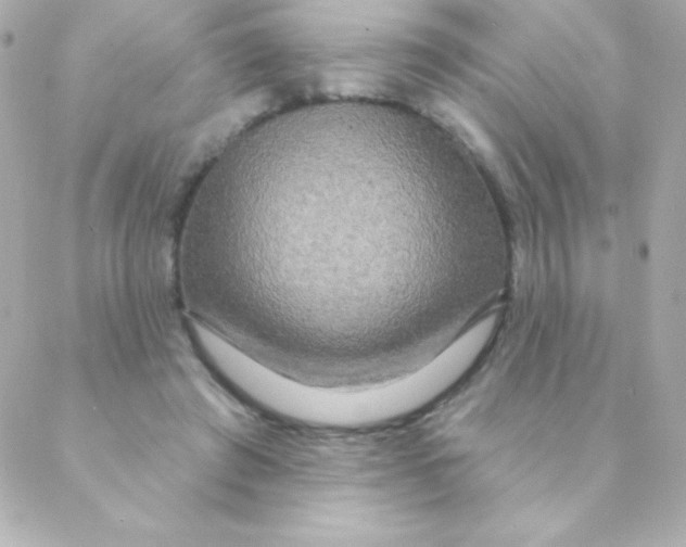 X0000088630401200706151922