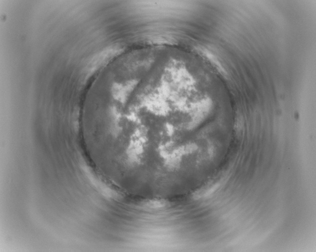 X0000088630402200706151922