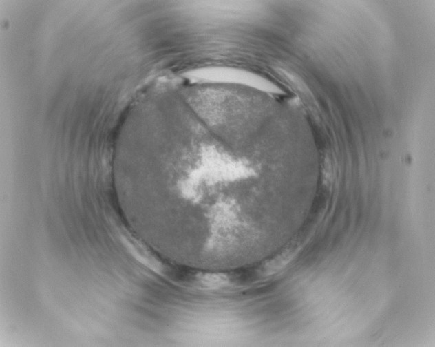 X0000088630409200706151922