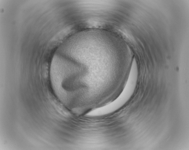 X0000088630413200706151922