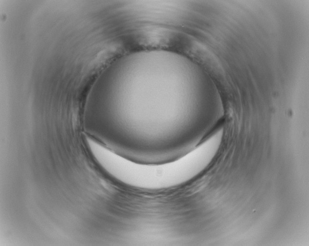 X0000088630416200706151922