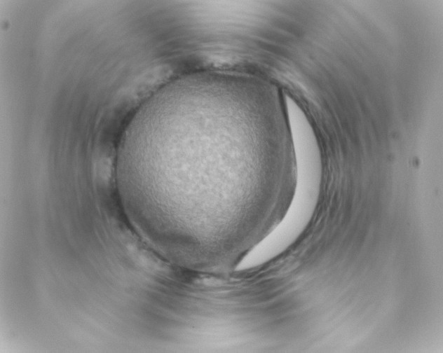X0000088630417200706151922