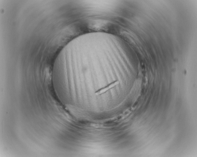 X0000088630420200706151922