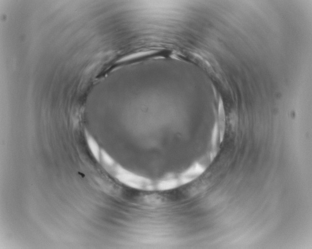 X0000088630423200706151922