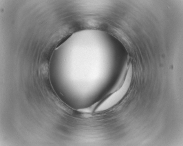 X0000088630425200706151922