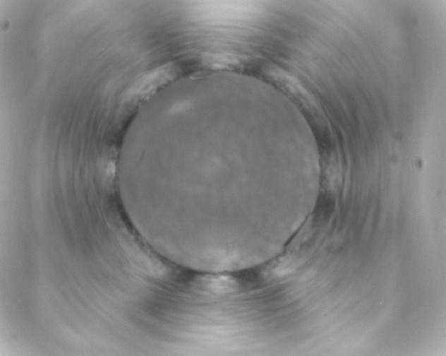 X0000088630427200706151922