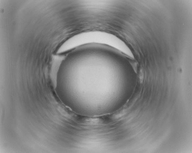 X0000088630428200706151922