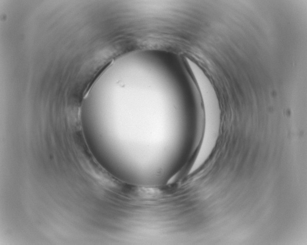 X0000088630429200706151922