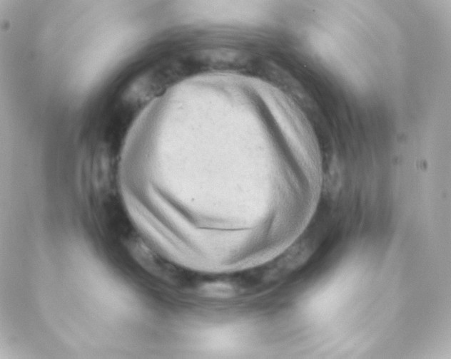 X0000088630430200706151922