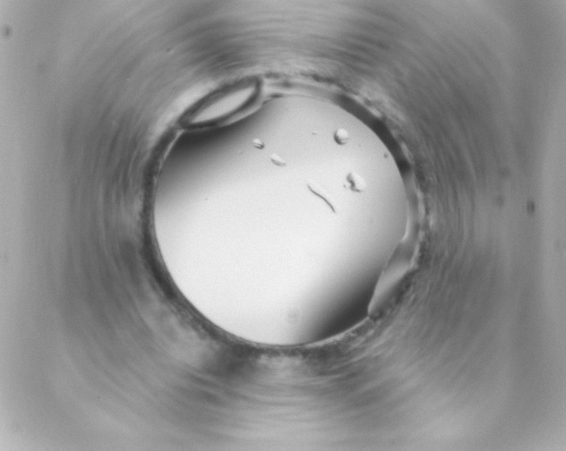 X0000088630440200706151921