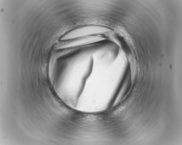 X0000088630441200706151921