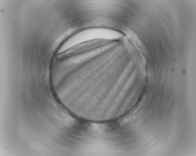 X0000088630442200706151921