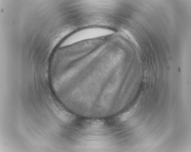 X0000088630443200706151921