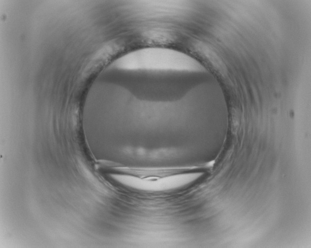 X0000088630451200706151921
