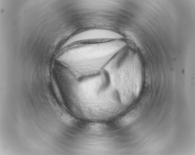 X0000088630453200706151921