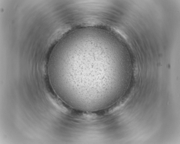 X0000088630455200706151921