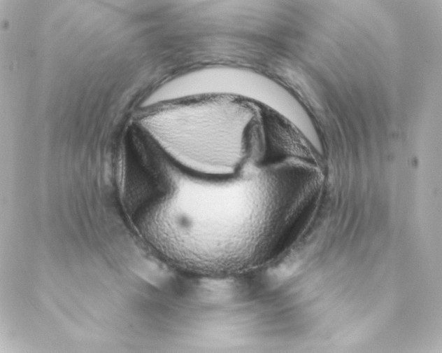 X0000088630457200706151921