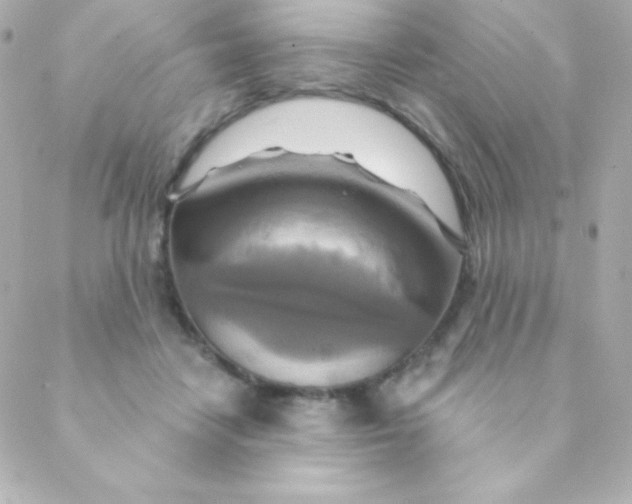 X0000088630458200706151921