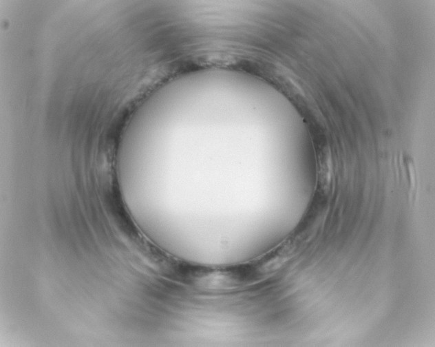 X0000088630460200706151921
