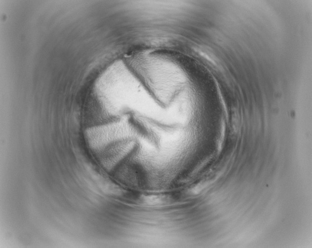 X0000088630461200706151921