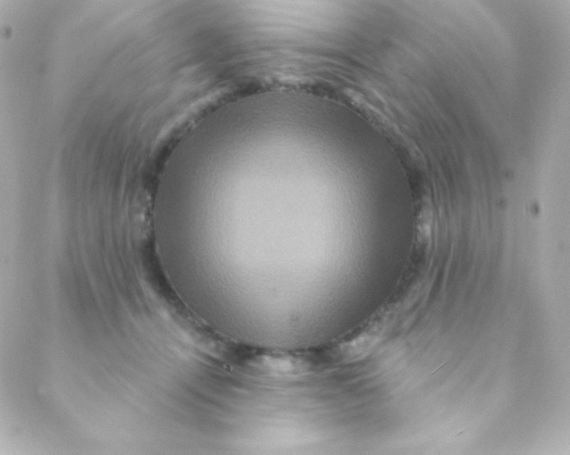 X0000088630464200706151921