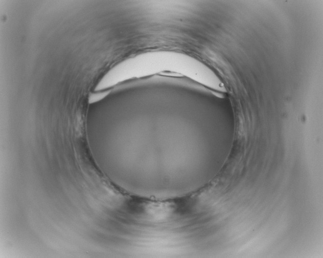 X0000088630465200706151921