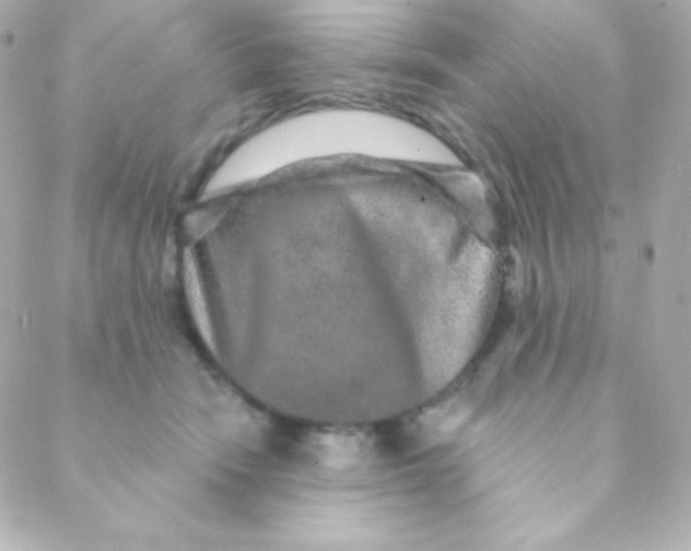 X0000088630466200706151921