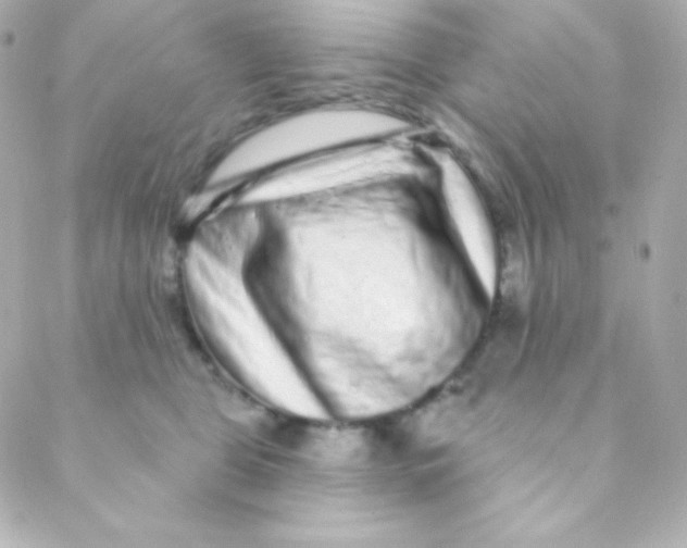 X0000088630469200706151922