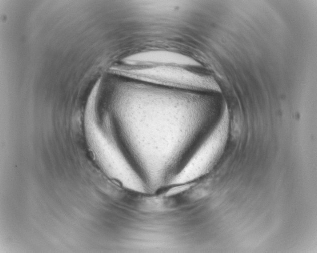 X0000088630473200706151922