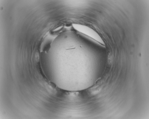 X0000088630474200706151922