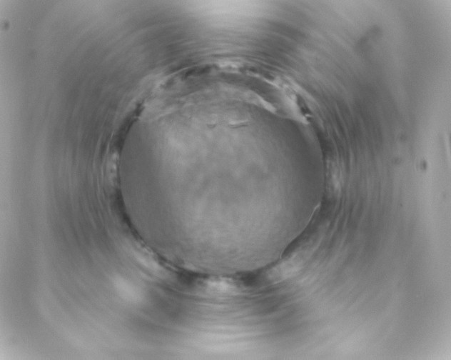 X0000088630475200706151922