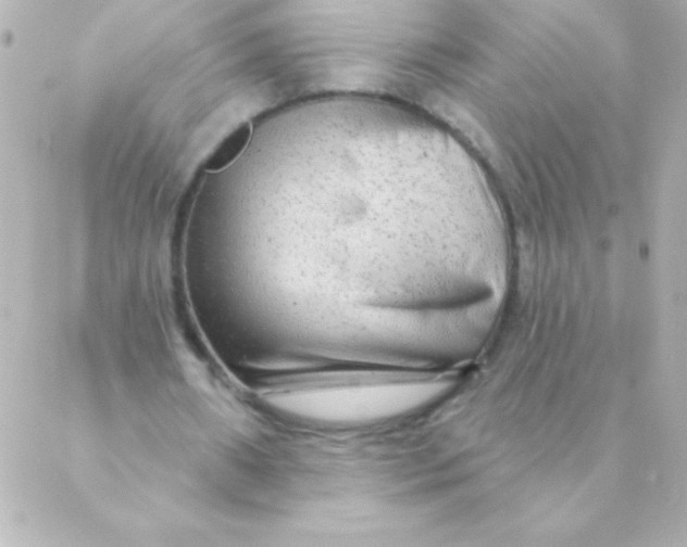 X0000088630482200706151921