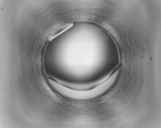 X0000088630485200706151921