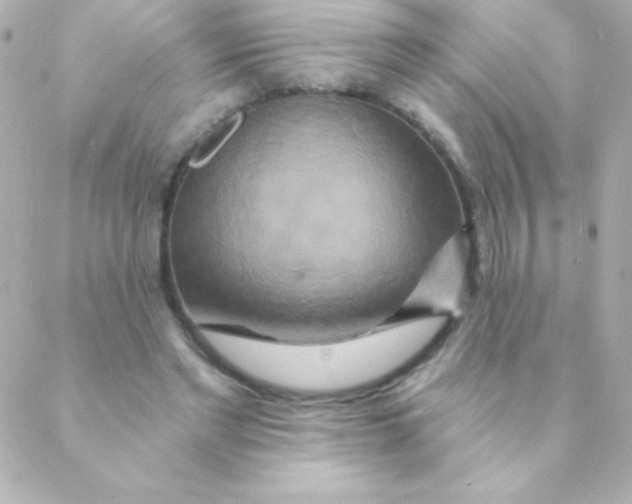 X0000088630493200706151921