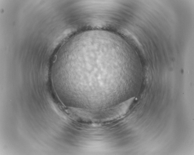 X0000088630496200706151921