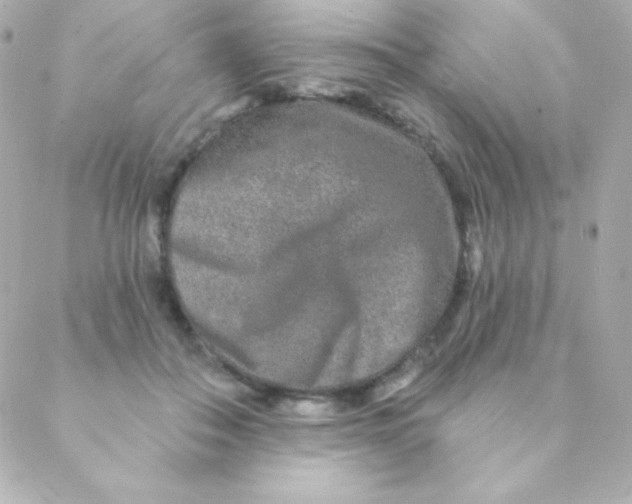 X0000088630506200706151921