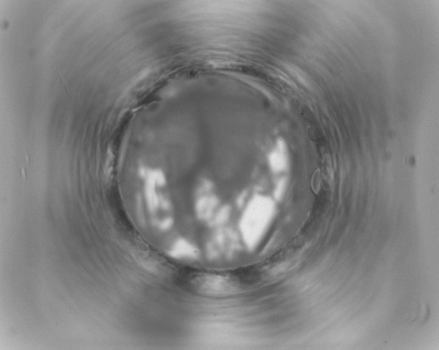 X0000088630507200706151921