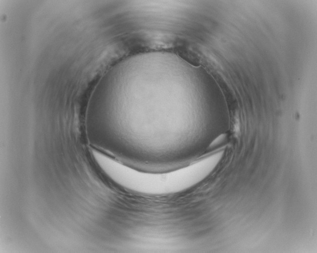 X0000088630512200706151920
