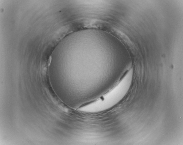 X0000088630513200706151920