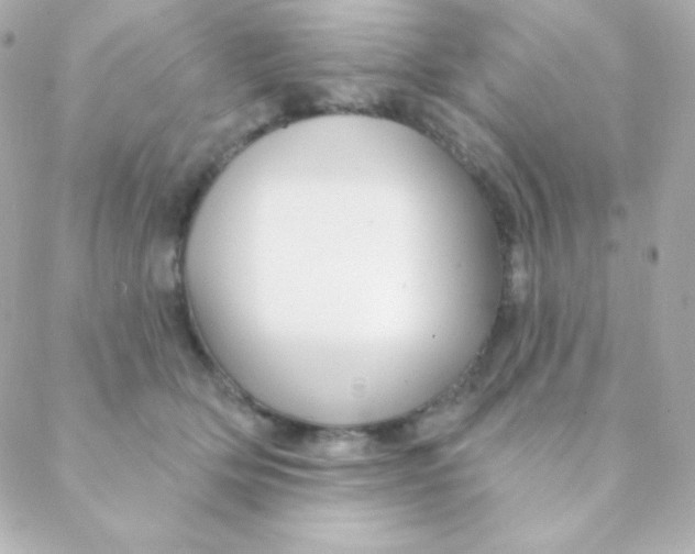 X0000088630514200706151920